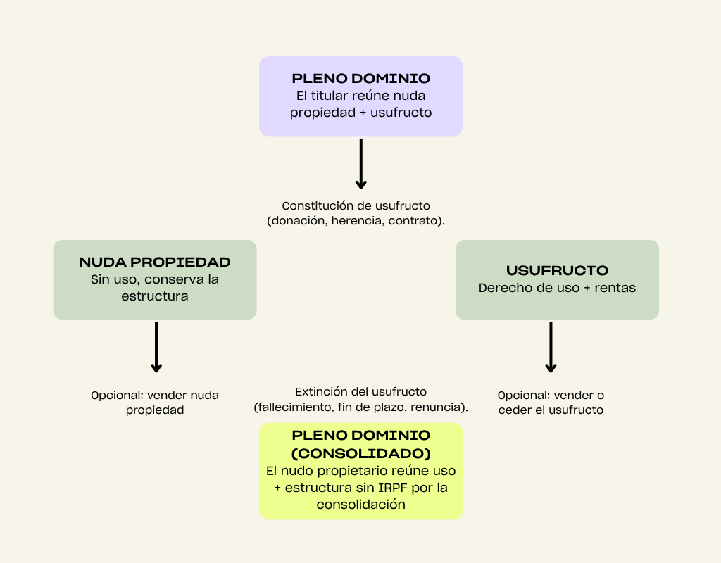 Pleno dominio, división y consolidación.