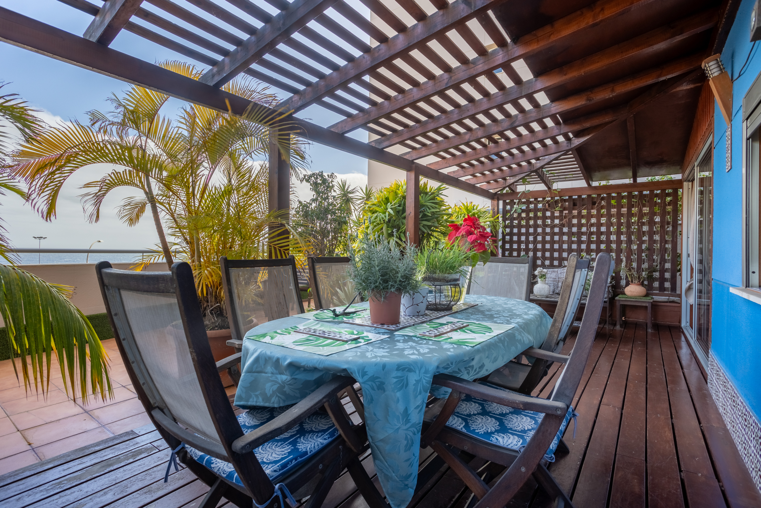 Calle_Celia_Cruz_31_PORTADA